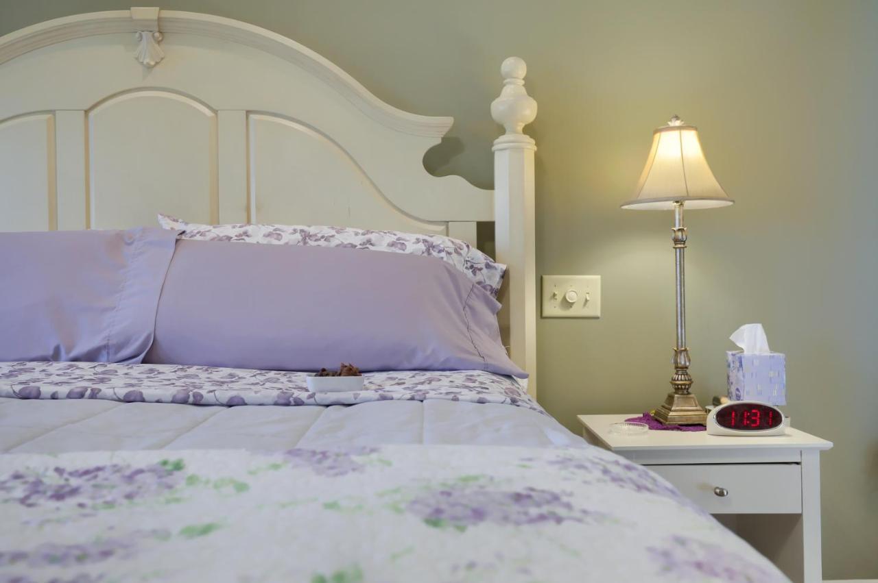 ליטיץ Hammer Creek Hideaway B&B מראה חיצוני תמונה